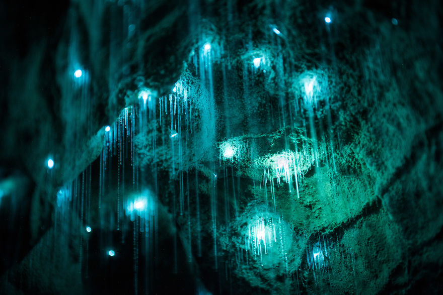 светлячки в пещере Новой Зеландия