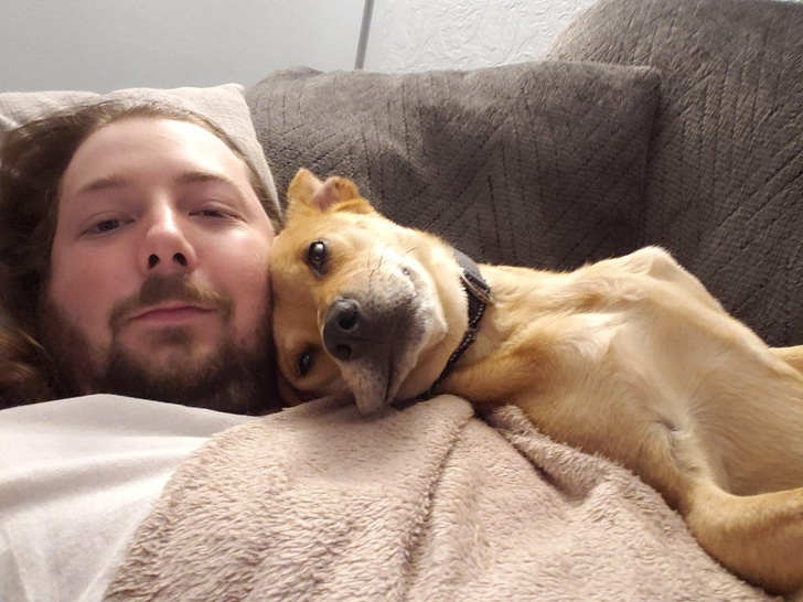 20+ доказательств того, что подарить бездомным животным новую жизнь — бесценно животные,жизнь,общество,приюты