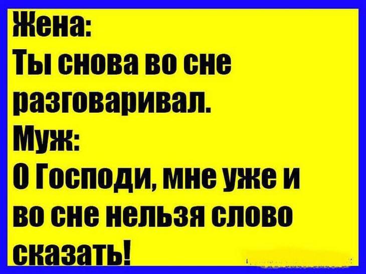 Ну как можно жить по-человечески, если каждый год - какой-нибудь скотины? Ну как можно жить по-человечески, если каждый год - какой-нибудь скотины? анекдоты