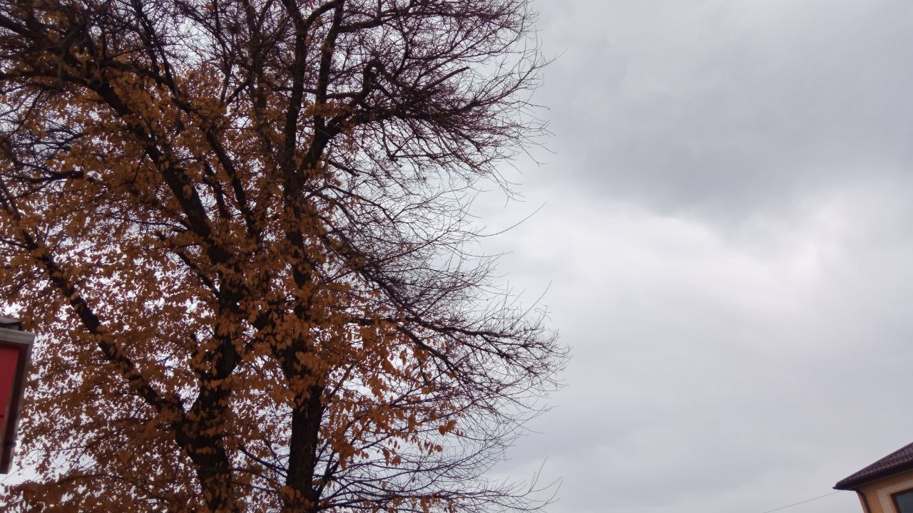 Скорость ветра шкала. Штормовой ветер. Ветер 6 баллов по шкале бофорта. Сильный ветер 18 м/с апрель 2023г. Падение рекламного щита.