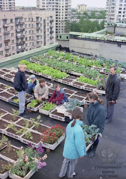 Если вы умны, вложите  свои деньги под 350% годовых. 1993 год Москва, площади, Красной, время, годЮрий, Москве, начало, годБорис, очень, середина, Борис, Клинских, после, Ельцин, бензин, Жириновский, базар, Москвы, России, только