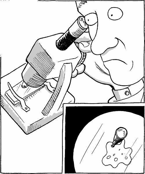 Юмор на разные темы