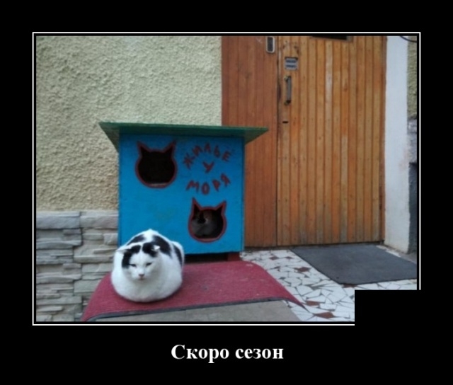 Демотиваторы майские Демотиваторы майские