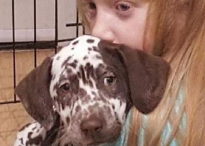 Девочка и щенок