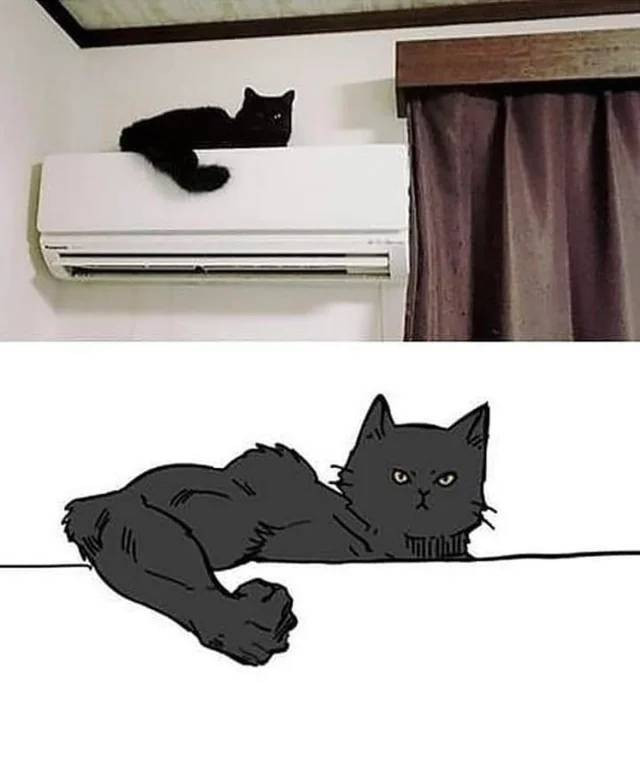 Пятничные фотоприколы: «Ребята, подождите!» Пятничные фотоприколы: «Ребята, подождите!»