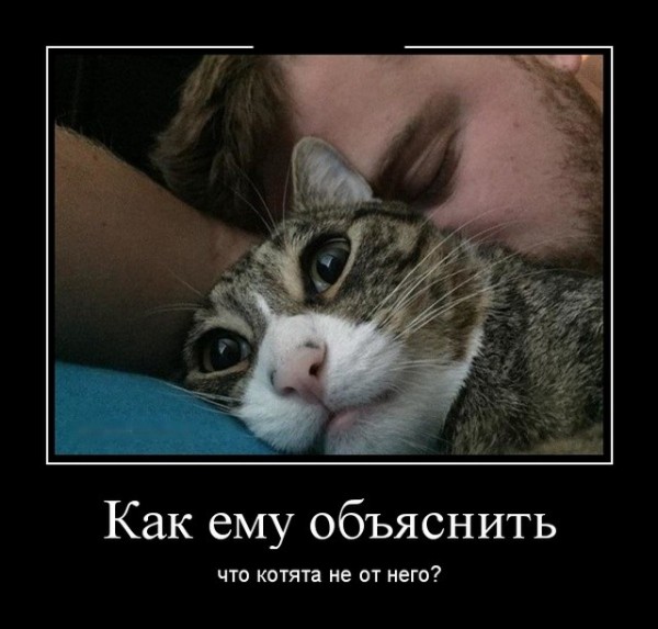 Жена посмотрела на нас тоскливыми глазами и снова взвыла: -Я-а-а-й-ц-а-а. -Что яйца? -Оторва-а-а-ались... Жена посмотрела на нас тоскливыми глазами и снова взвыла: -Я-а-а-й-ц-а-а. -Что яйца? -Оторва-а-а-ались... истории из жизни