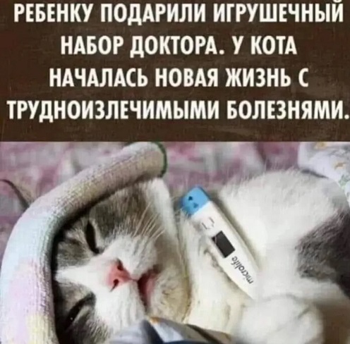 Жители Алупки всегда со смущением отвечают на вопрос "Откуда Вы?" г,Москва [1405113],респ,Дагестан [78545]
