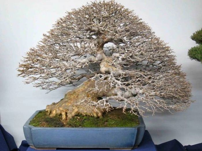 Прикольные картинки картинки из сети, прикол, юмор