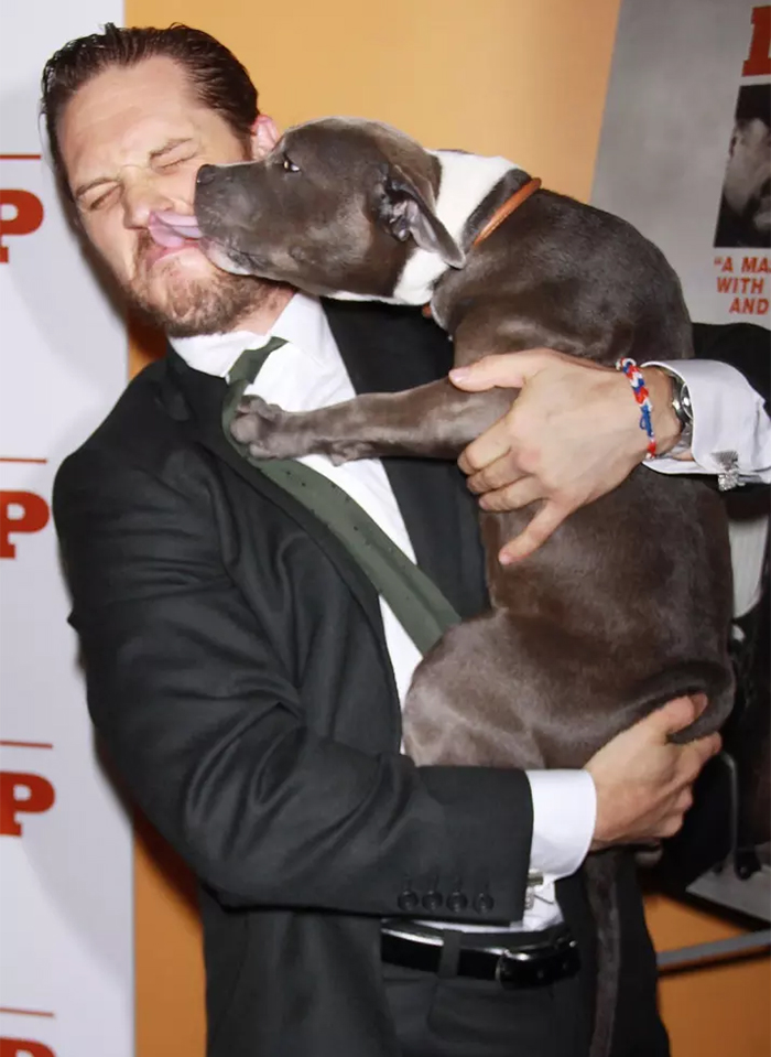 Love-for-dogs-tom-hardy