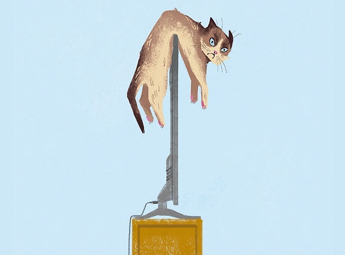 как технологии изменили жизнь кошек