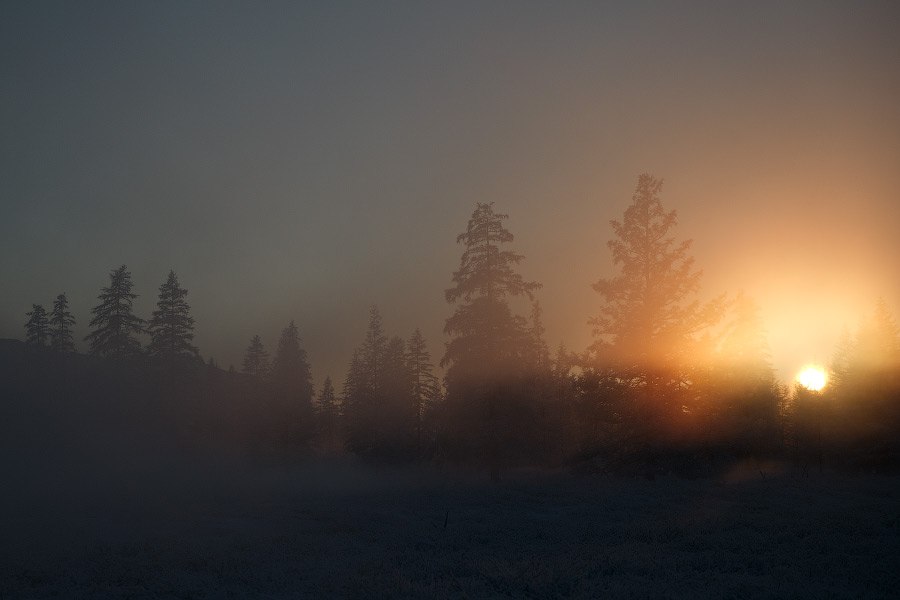 Оленеводы Якутии