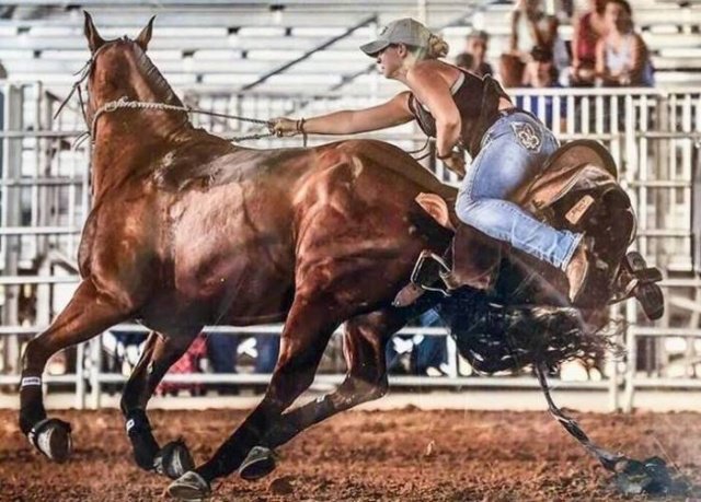 Фотоподборка четверга Фотоподборка четверга