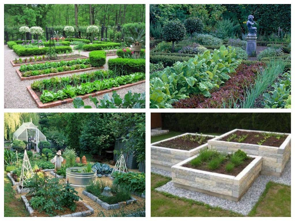 Красивые грядки, красивый огород: идеи для ценителей прекрасного дача,декоративный огород,сад и огород