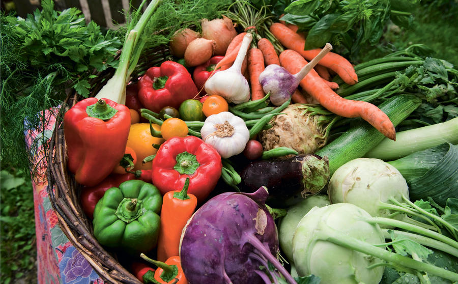 Хранение овощей: условия и способы для разных культур
