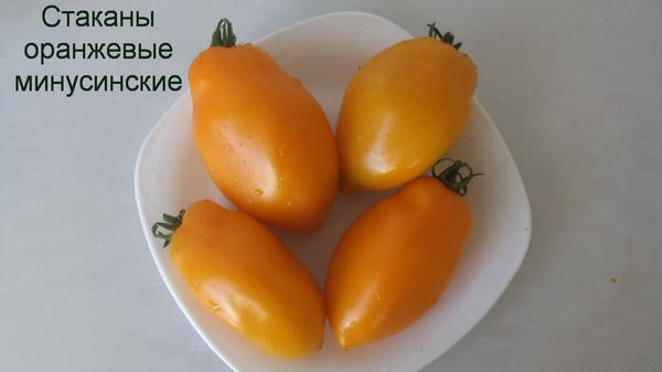 Томат сорт &amp;amp;#39;Стаканы оранжевые минусинские&amp;amp;#39; фото сайта sadik45.ru