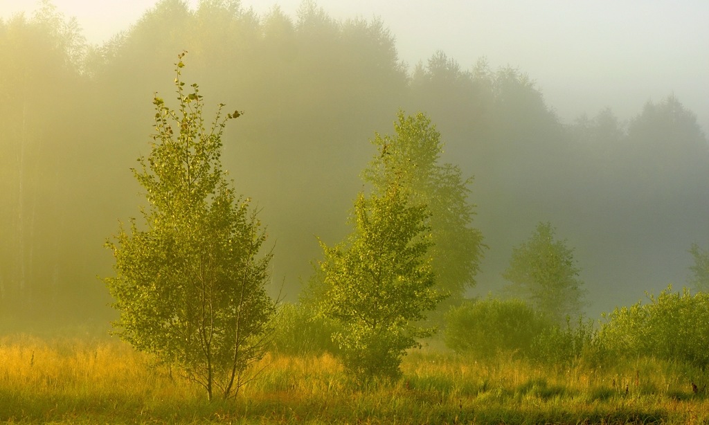 Земля так несравненно хороша! Земля так несравненно хороша! природа