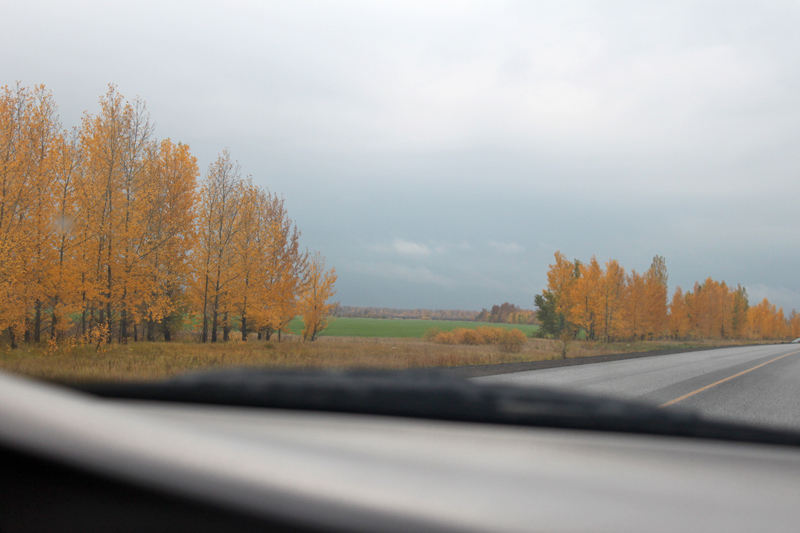 Дуккинские озера или История, наполняющая жизнь.