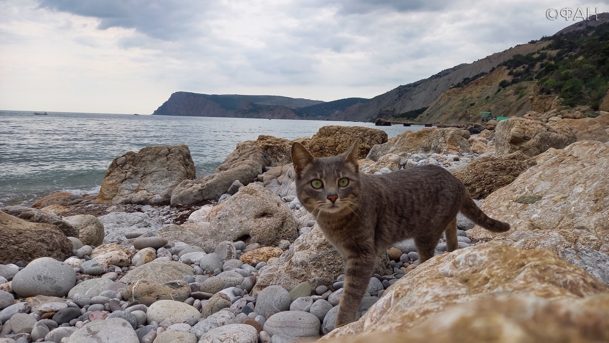 Малоизвестные места на побережье Крыма: где найти Серебряный и Золотой пляжи