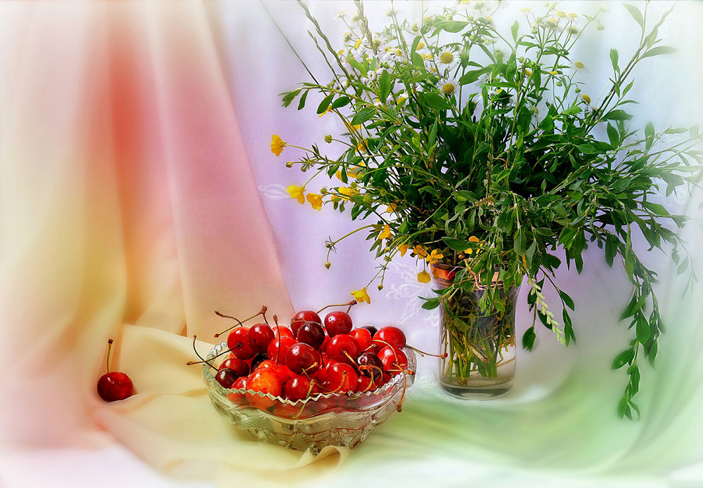 Фотонатюрморты Натальи Лыковой Фотонатюрморты Натальи Лыковой фотография