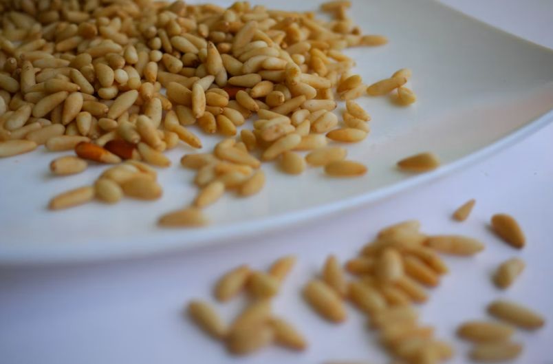 Минприроды России планирует ввести контроль за оборотом кедрового ореха