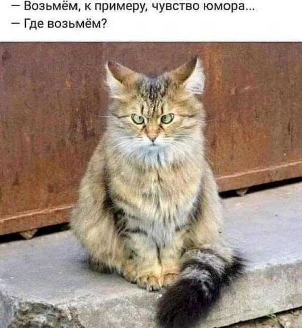 Жители Алупки всегда со смущением отвечают на вопрос "Откуда Вы?" г,Москва [1405113],респ,Дагестан [78545]