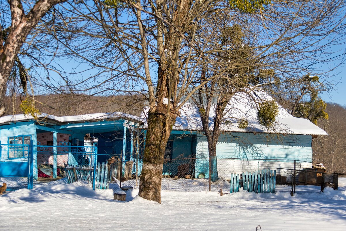 Хутор Зазулин: гуляла среди гусей, кур и овец и нашла немецкий военный мемориал 