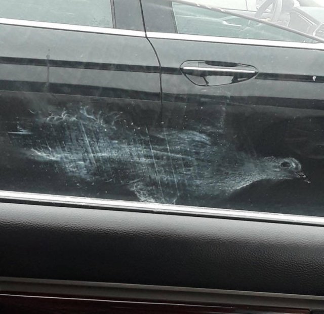 Фотоподборка пятницы Фотоподборка пятницы