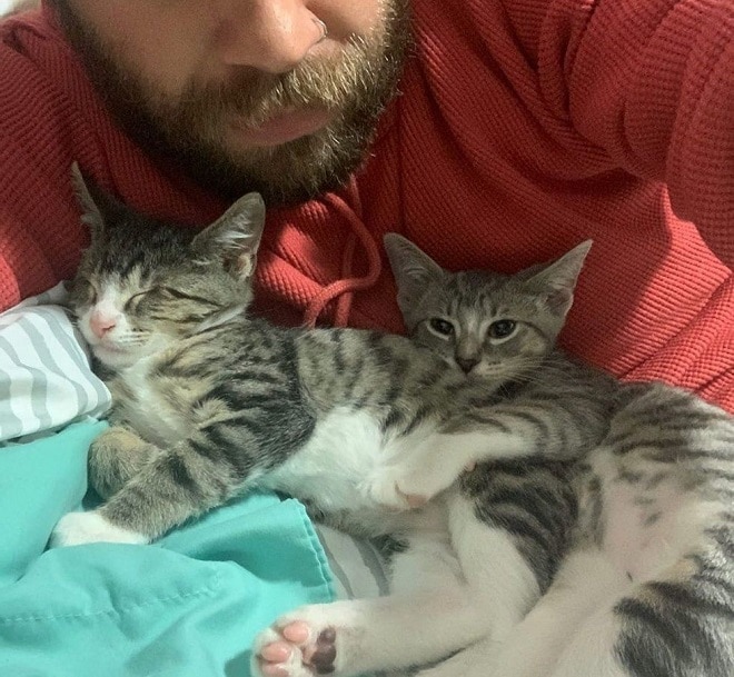 Мужчина и котята 