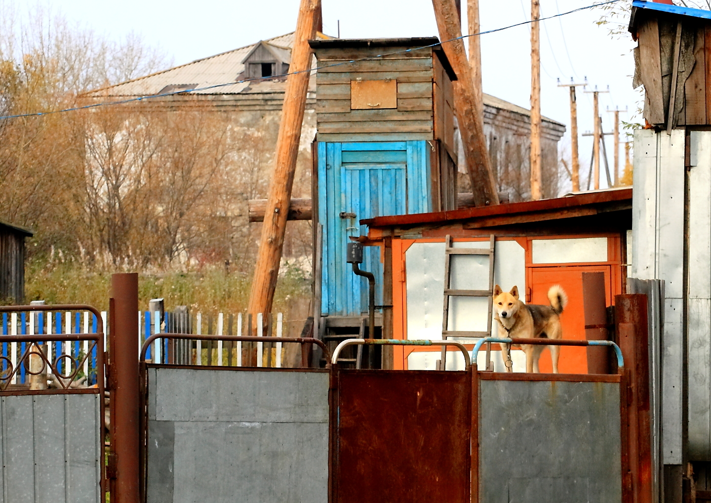 Путешествие 60+ Часть 1 Камчатка Путешествие 60+ Часть 1 Камчатка