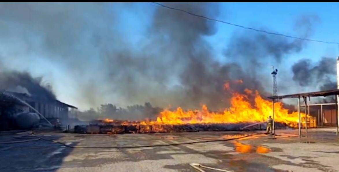 В Крыму ликвидировали пожар на овощехранилище. Площадь возгорания составила почти 2 тыс. кв. метров