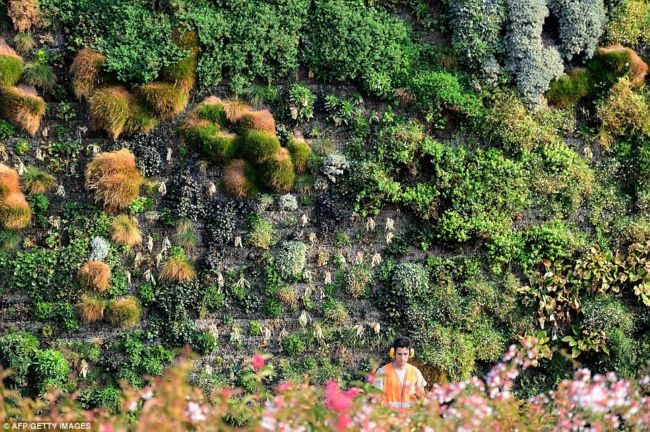 Fiordaliso — уникальный вертикальный сад в Италии Италия,ландшафтный дизайн,рекорды