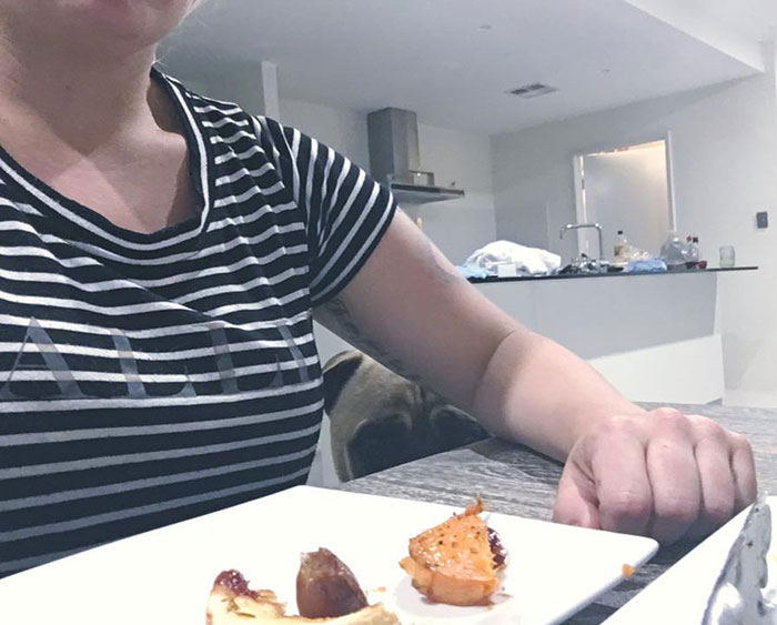 собака всегда подстерегает хозяина