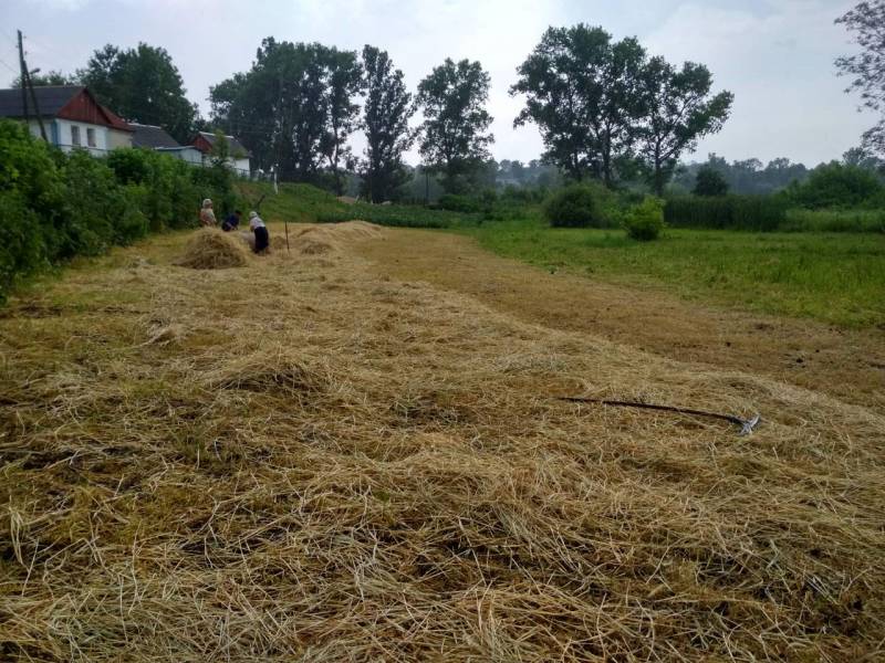 Записки Колорадского Таракана. Ой да гей-люли… украина