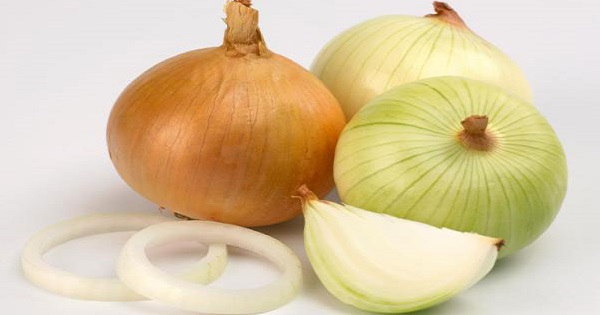 лук