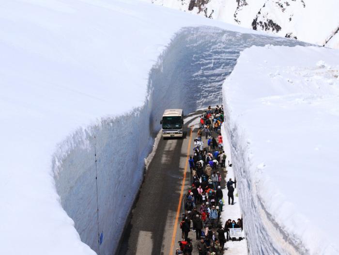 Прогулка по Tateyama Kurobe Alpine  