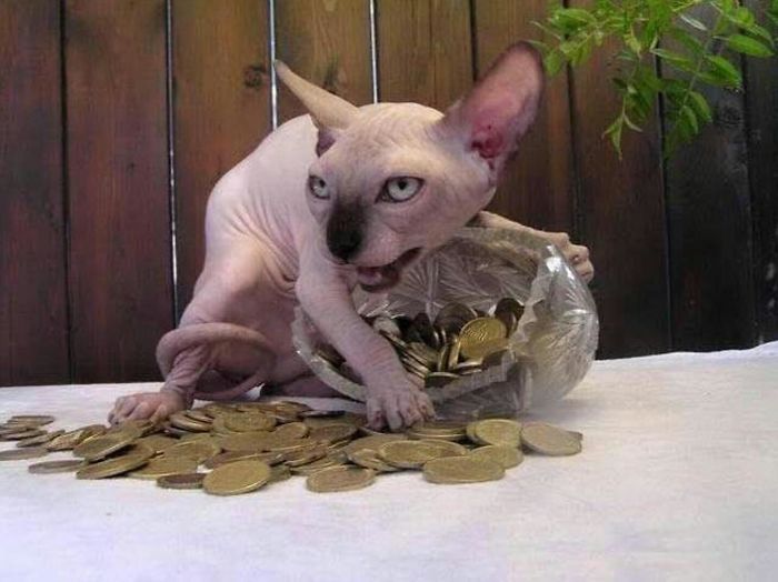 Hmmm