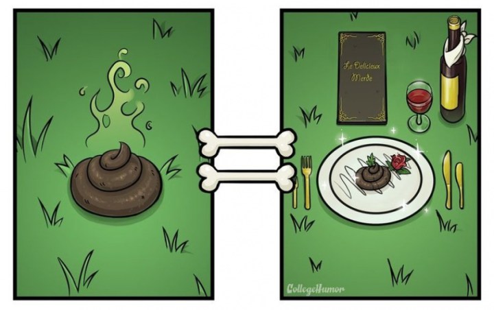 как видят мир собаки 