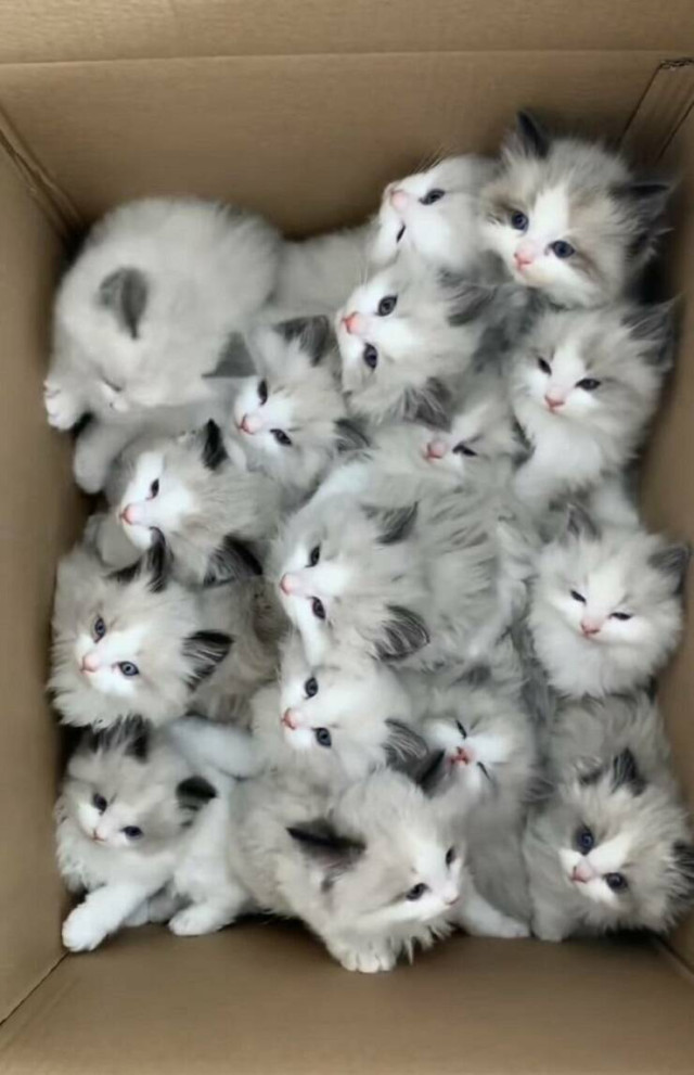 Пятничные фотоприколы: «Ребята, подождите!» Пятничные фотоприколы: «Ребята, подождите!»