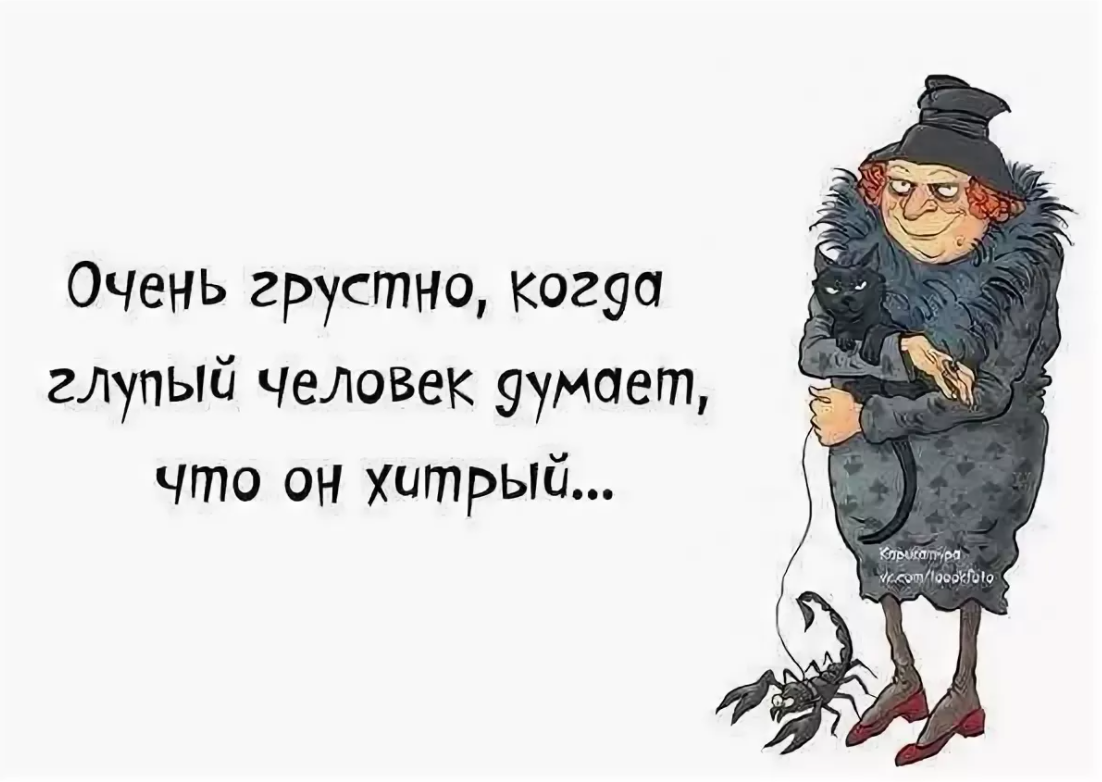 Глупый означать. Статусы про глупых людей. Афоризмы про глупых людей. Смешные цитаты про глупых людей. Высказывания про глупых л.