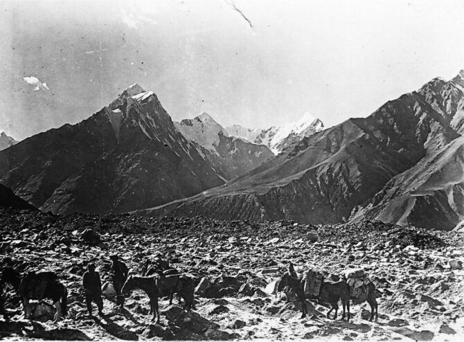 Советские пограничники не только ловили нарушителей границы, но и "снежного человека" история