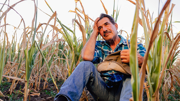 РОССИЯ ОТКРЫЛА ВТОРОЙ ФРОНТ: АМЕРИКА ПРОИГРЫВАЕТ БИТВУ ЗА УРОЖАЙ