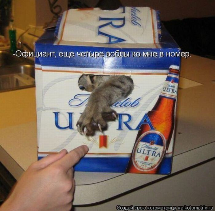 Мысли вслух :)