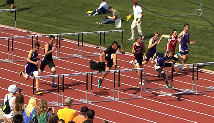 кошка выбежала на поле и прервала регби