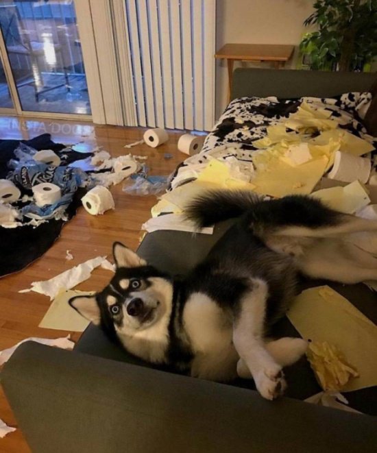 Фотоподборка пятницы Фотоподборка пятницы