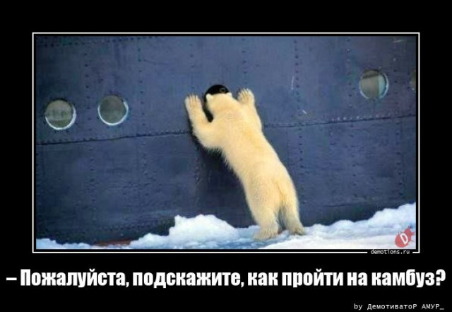 Демотиваторы дня: «Совсем зажрались…» Демотиваторы дня: «Совсем зажрались…»