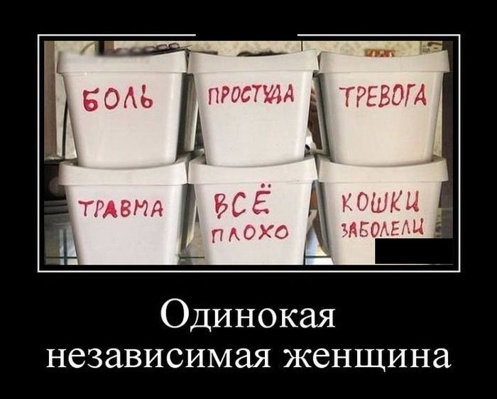 Одинокая независимая женщина демотиватор, юмор