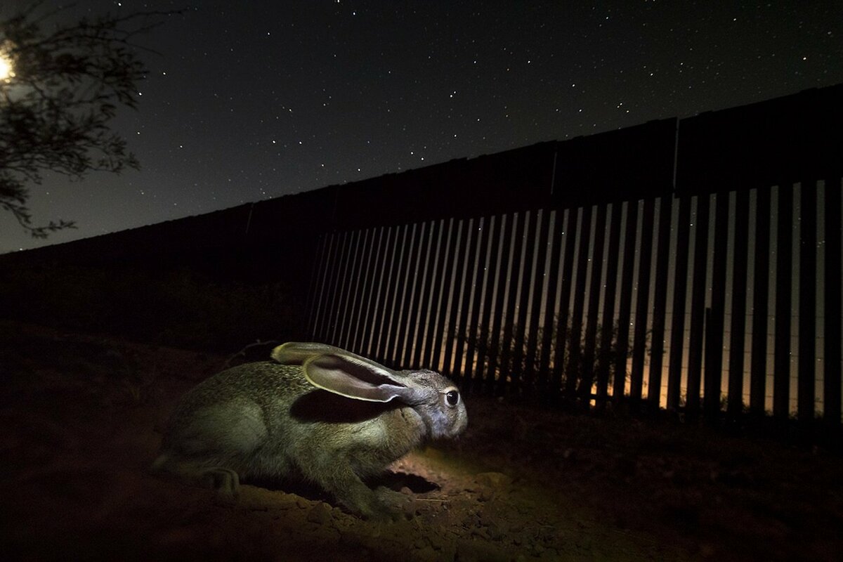 "На границе с Мексикой", Алехандро Прието