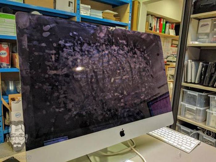 Прикольные картинки. Дневной выпуск (53 фото)