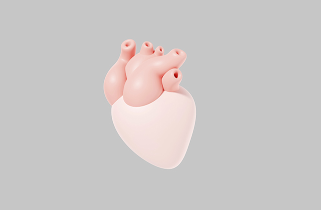 Самый большой орган человека Самый большой орган человека