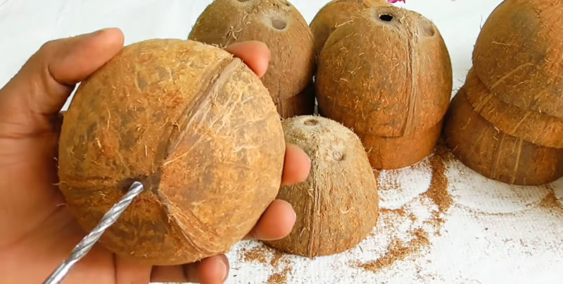 Как правильно открыть кокос дома: простые способы